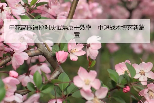 申花高压逼抢对决武磊反击效率，中超战术博弈新篇章