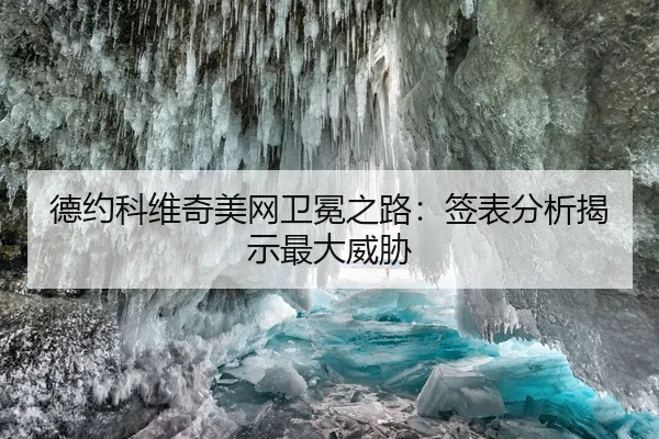 de-yue-ke-wei-qi-mei-wang-wei-mian-zhi-lu-qian-biao-fen-xi-jie-shi-zui-da-wei-xie-2-355.jpg