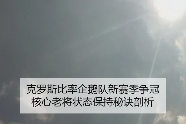 克罗斯比率企鹅队新赛季争冠 核心老将状态保持秘诀剖析